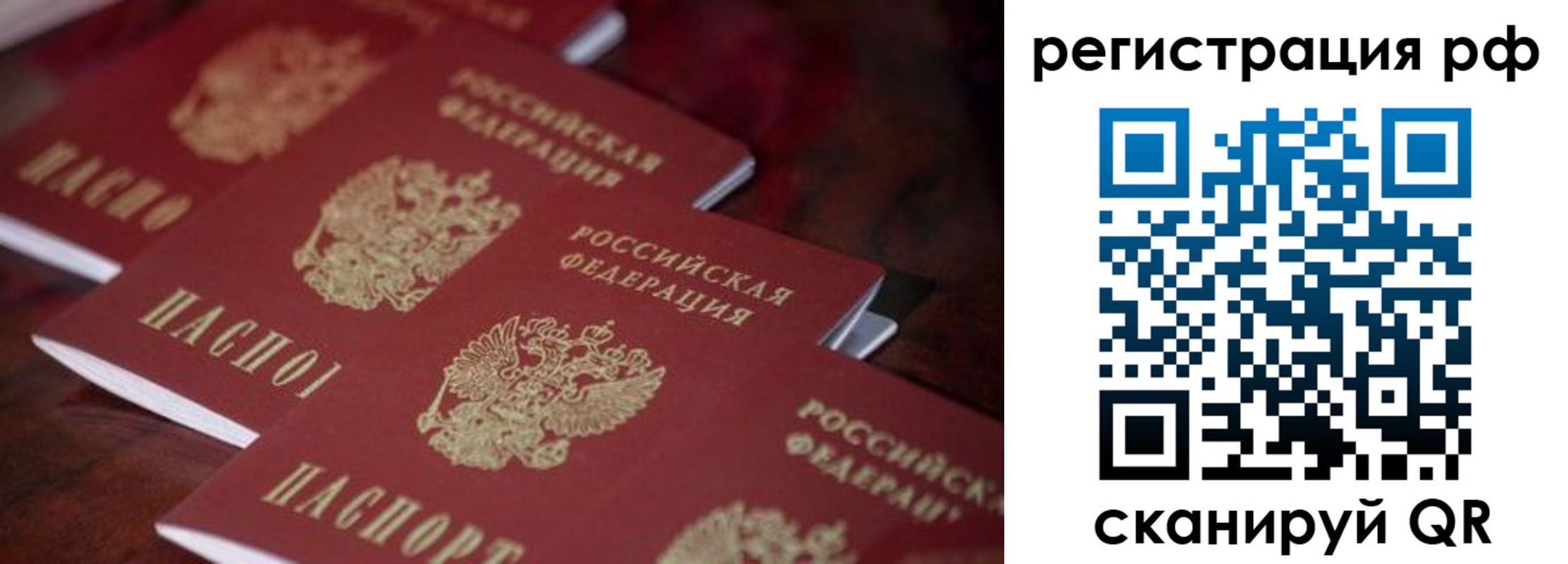 прописка поиск в Хабаровске